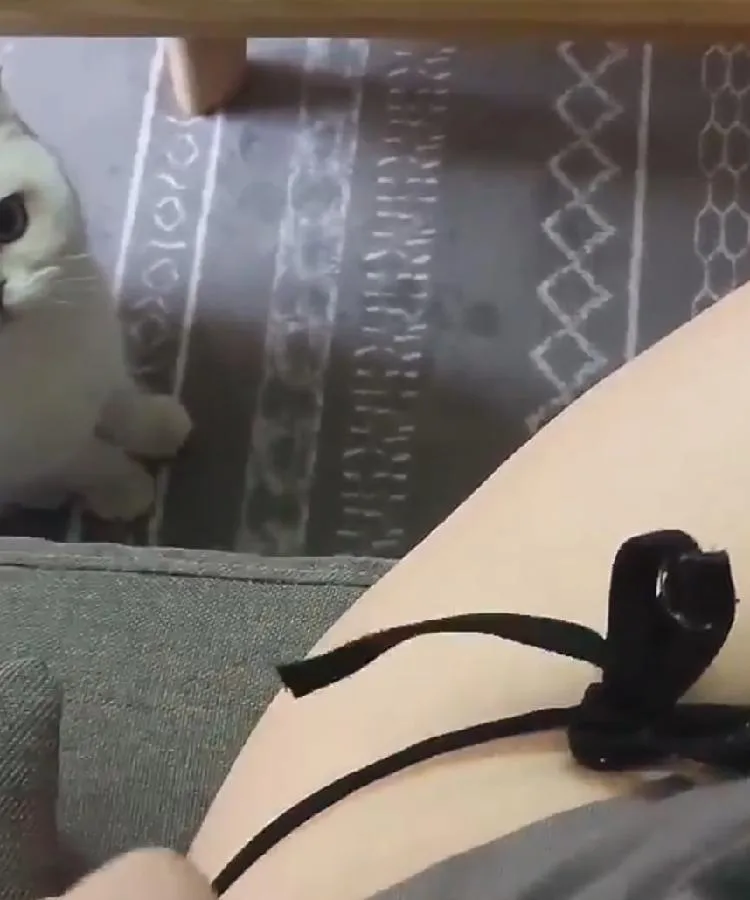 按摩師喜寶影片介紹封面