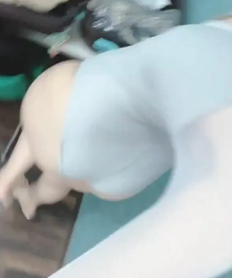 按摩師婷好影片介紹封面