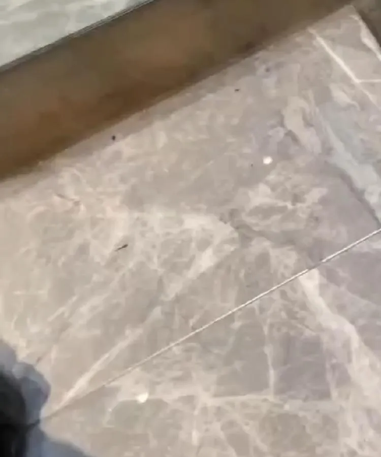 按摩師茶茶影片介紹封面